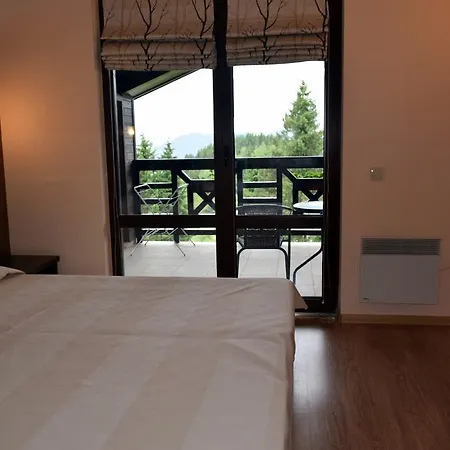 Apartment Goldi 85 Pamporovo
