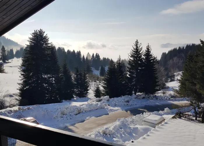 Goldi 85 Appartement